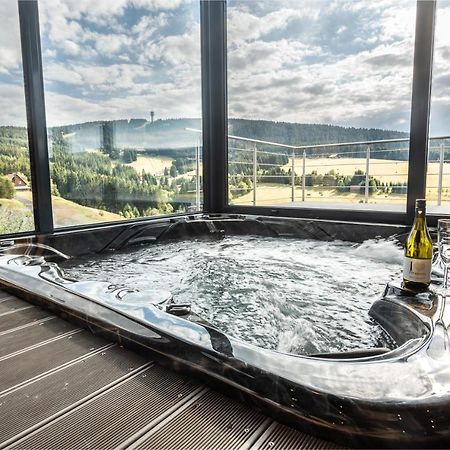 Wellness Villa Klinovec Views Loučná pod Klínovcem Zewnętrze zdjęcie