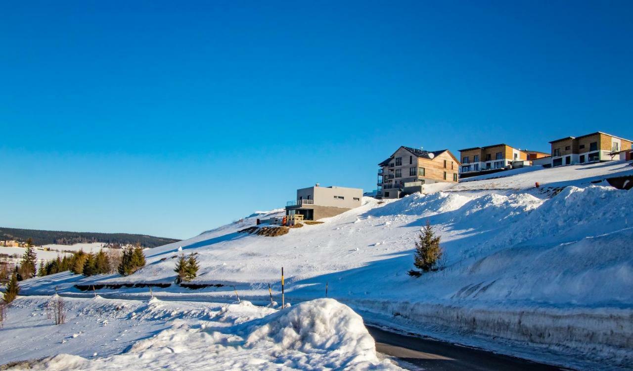 Wellness Villa Klinovec Views Loučná pod Klínovcem Zewnętrze zdjęcie